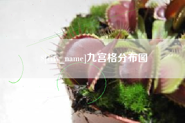 灵宝九宫格分布图