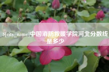 灵宝中国消防救援学院河北分数线是多少