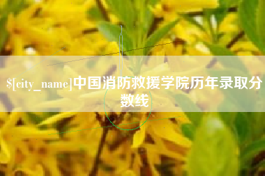 灵宝中国消防救援学院历年录取分数线