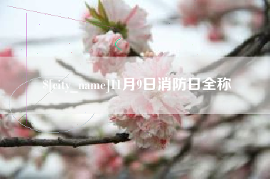 灵宝11月9日消防日全称