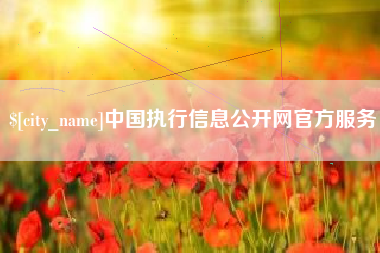 灵宝中国执行信息公开网官方服务