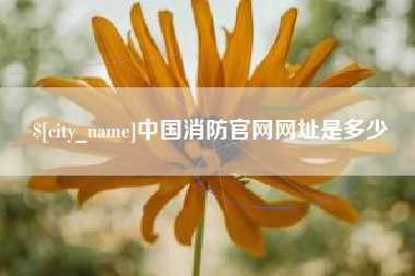 灵宝中国消防官网网址是多少