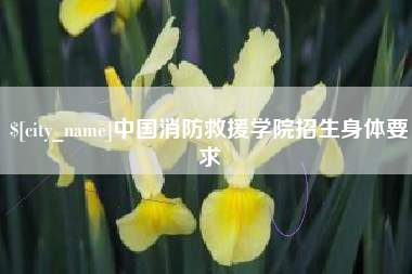 灵宝中国消防救援学院招生身体要求