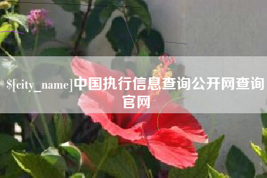 灵宝中国执行信息查询公开网查询官网