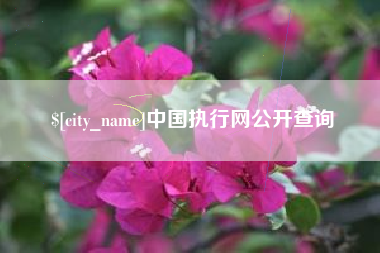 灵宝中国执行网公开查询