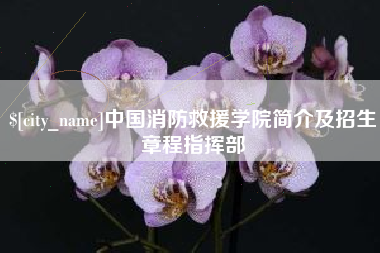 灵宝中国消防救援学院简介及招生章程指挥部