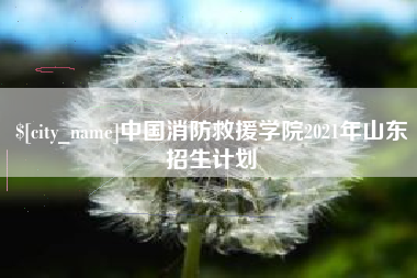 灵宝中国消防救援学院2021年山东招生计划