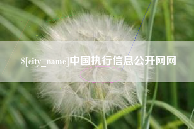 灵宝中国执行信息公开网网
