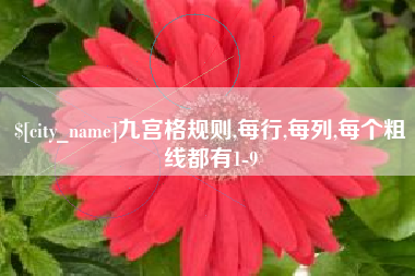 灵宝九宫格规则,每行,每列,每个粗线都有1-9