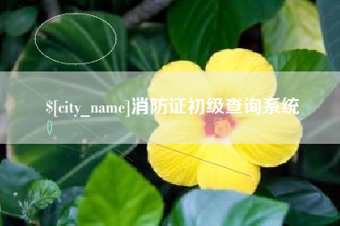 灵宝消防证初级查询系统