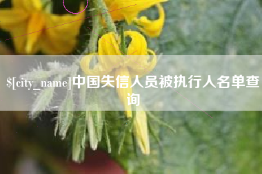 灵宝中国失信人员被执行人名单查询