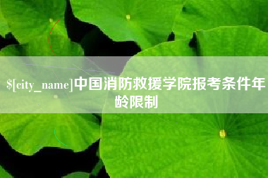 灵宝中国消防救援学院报考条件年龄限制