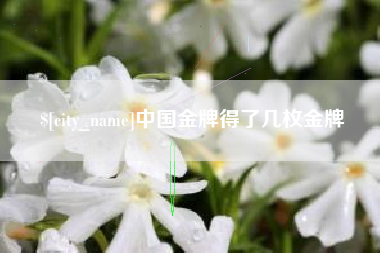 灵宝中国金牌得了几枚金牌