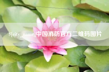 灵宝中国消防官方二维码图片