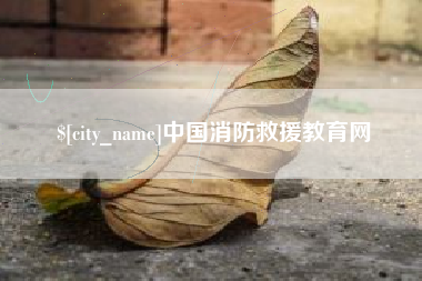 灵宝中国消防救援教育网