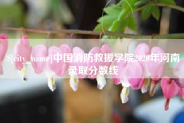 灵宝中国消防救援学院2020年河南录取分数线