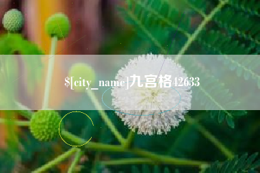 灵宝九宫格42633