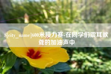 灵宝600米接力赛-在同学们震耳欲聋的加油声中