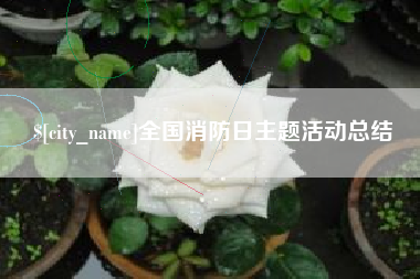 灵宝全国消防日主题活动总结