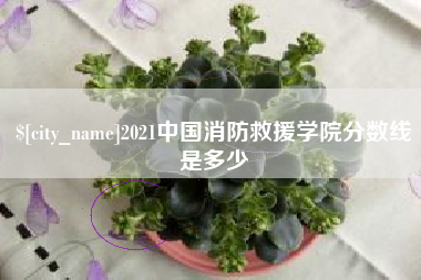 灵宝2021中国消防救援学院分数线是多少