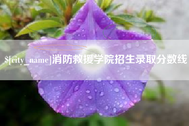 灵宝消防救援学院招生录取分数线