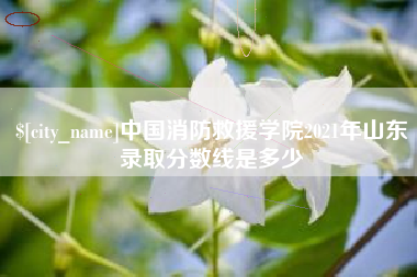 灵宝中国消防救援学院2021年山东录取分数线是多少