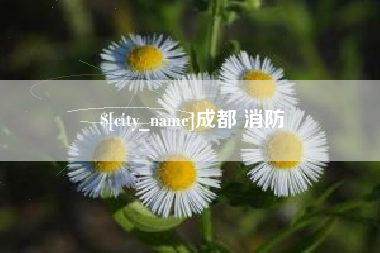 灵宝成都 消防