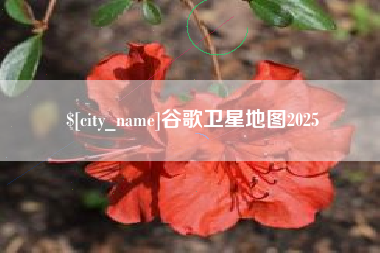 灵宝谷歌卫星地图2025