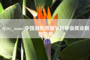 灵宝中国消防救援学院毕业就业前景如何