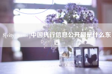 灵宝中国执行信息公开网是什么东西