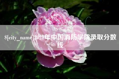 灵宝2021年中国消防学院录取分数线