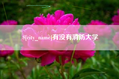 灵宝有没有消防大学