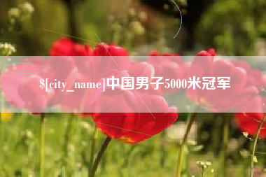 灵宝中国男子5000米冠军