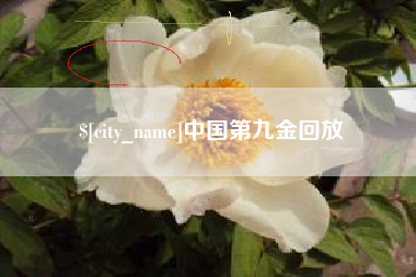 灵宝中国第九金回放