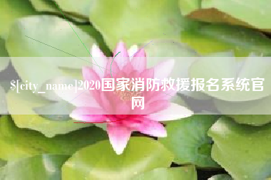 灵宝2020国家消防救援报名系统官网