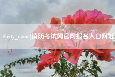 灵宝消防考试网官网报名入口网址