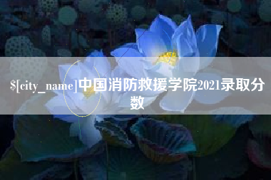 灵宝中国消防救援学院2021录取分数