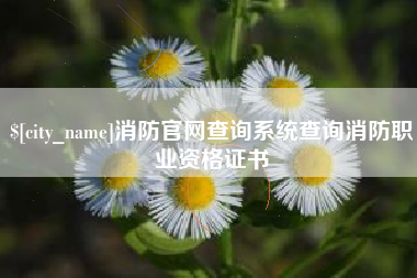 灵宝消防官网查询系统查询消防职业资格证书