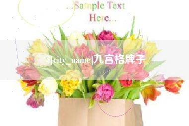 灵宝九宫格牌子