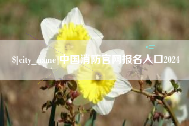 灵宝中国消防官网报名入口2024