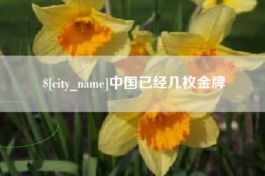 灵宝中国已经几枚金牌