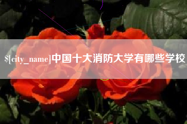 灵宝中国十大消防大学有哪些学校