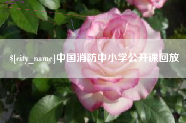 灵宝中国消防中小学公开课回放