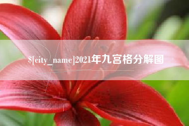 灵宝2021年九宫格分解图