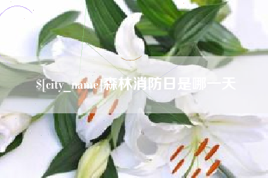 灵宝森林消防日是哪一天
