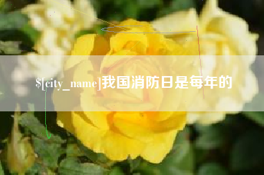 灵宝我国消防日是每年的