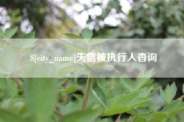 灵宝失信被执行人杳询