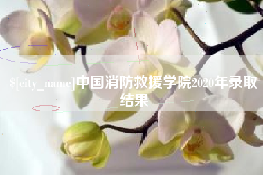 灵宝中国消防救援学院2020年录取结果