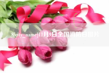 灵宝11月9日全国消防日图片