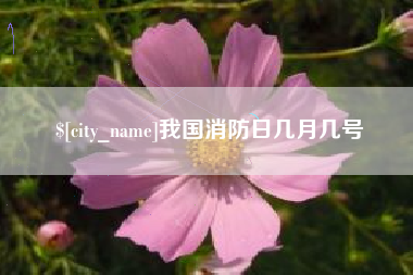 灵宝我国消防日几月几号